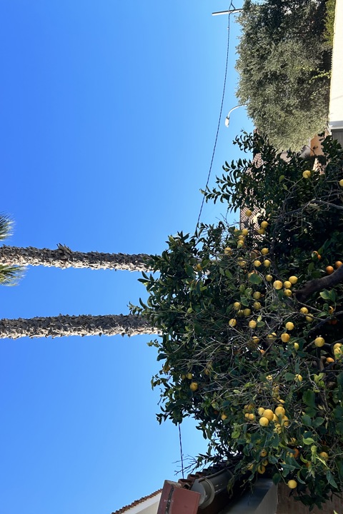 Valencian Paradise! - 35