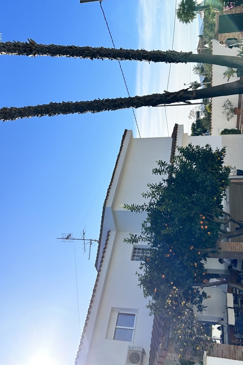 Valencian Paradise! - 31