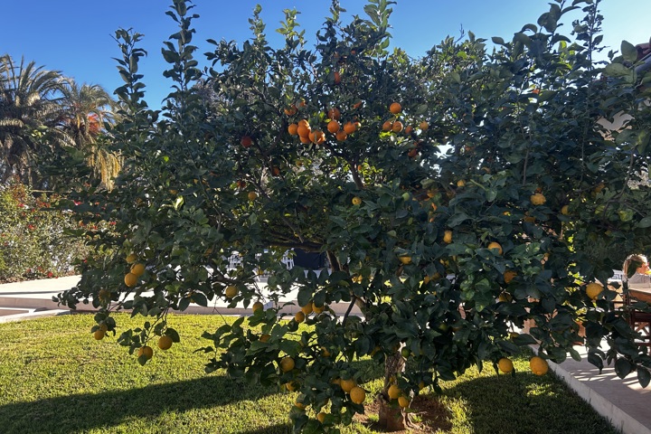 Valencian Paradise! - 33