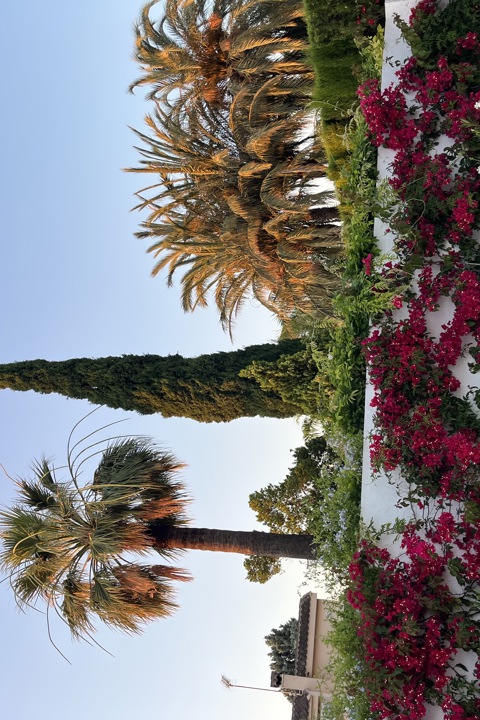 Valencian Paradise! - 40