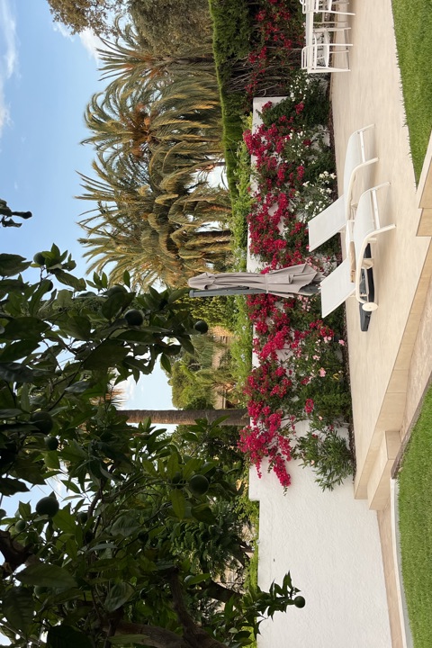 Valencian Paradise! - 42