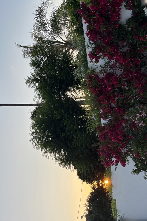 Valencian Paradise! - 43
