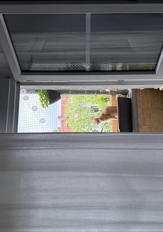 home swap in Berlin, Germany