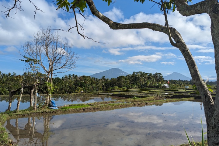 Reconnect with nature in our jungle villa - 7