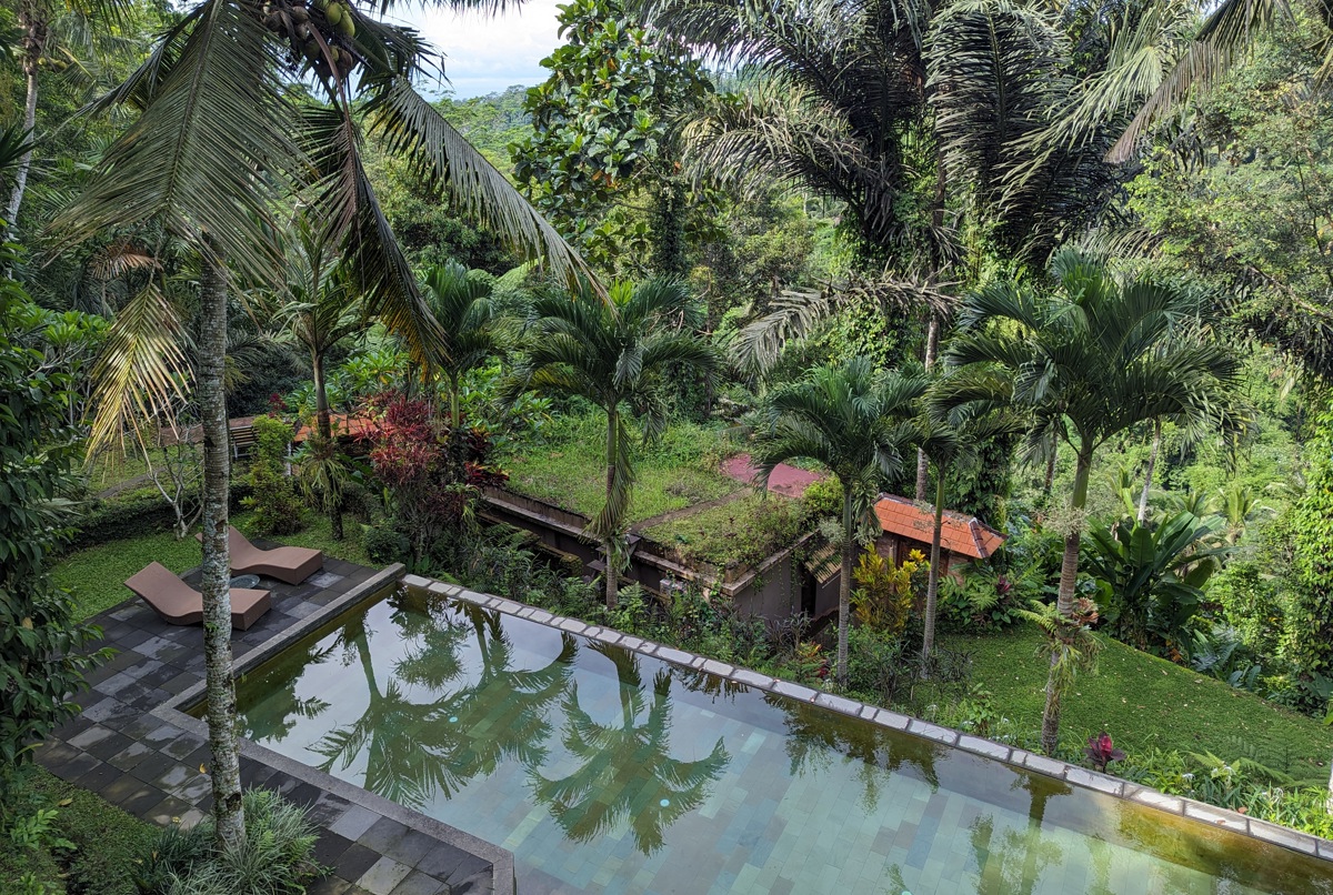 Reconnect with nature in our jungle villa