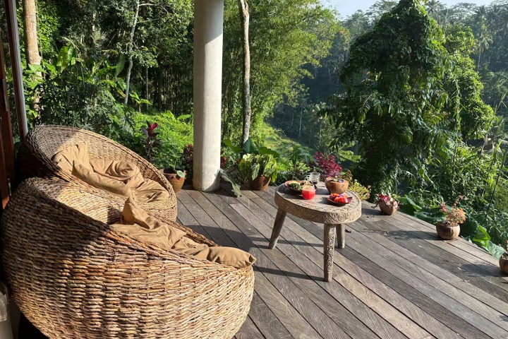 Reconnect with nature in our jungle villa - 5