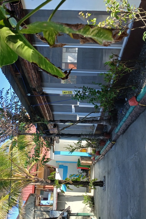 Oceanfront Beach Resort - 3