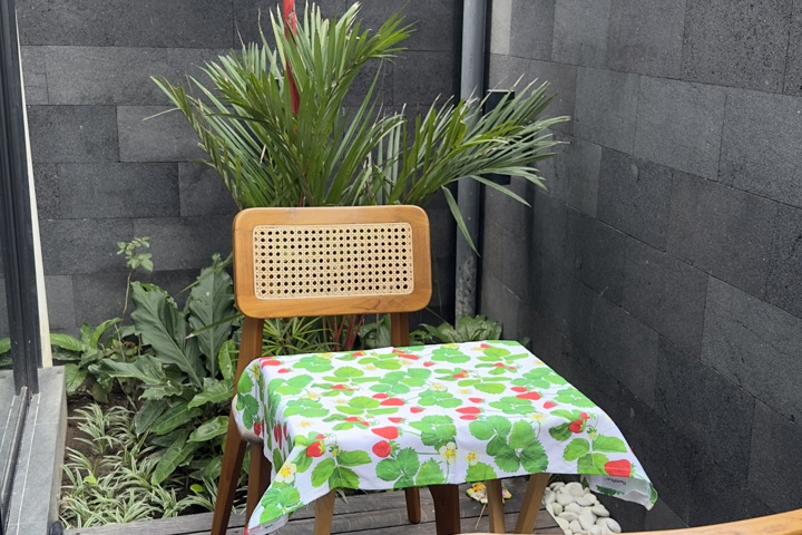 Casa Fresa Petulu - 10