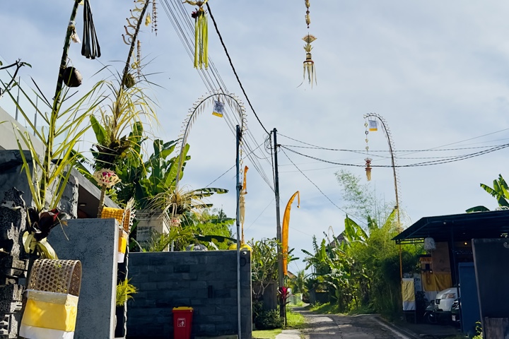 Casa Fresa Petulu - 11