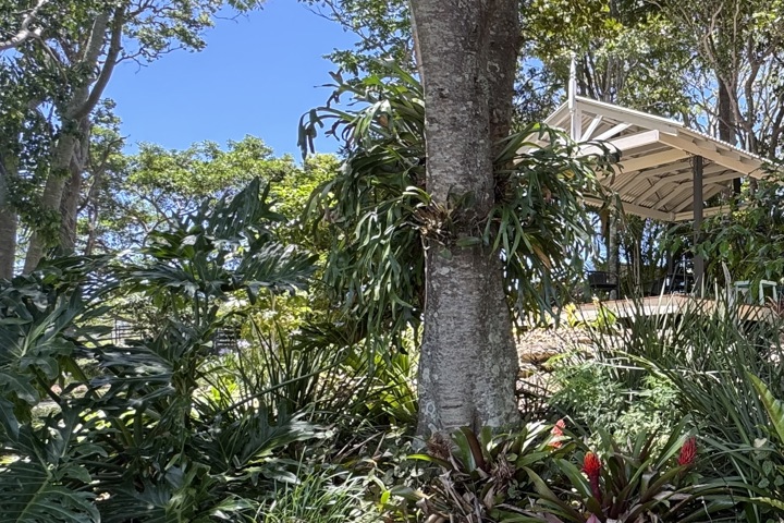 Spacious Country house + Ocean Views - 8