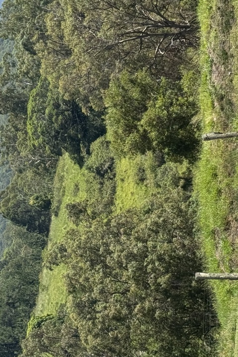 Spacious Country house + Ocean Views - 12