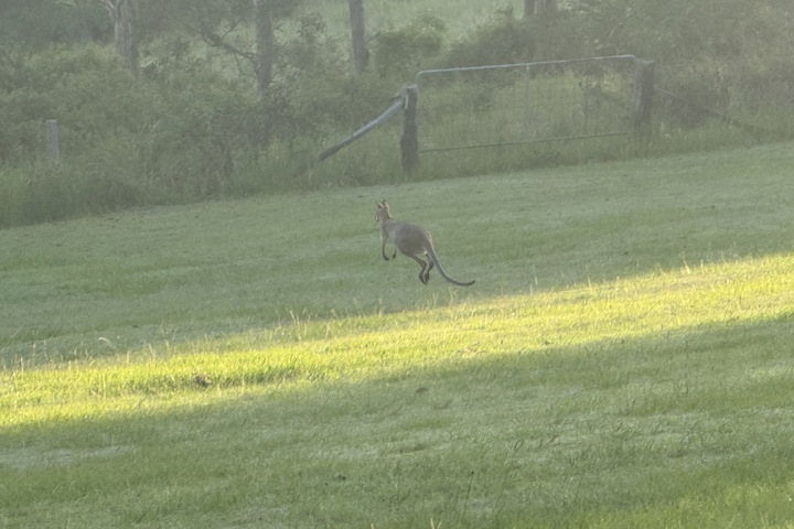Spacious Country house + Ocean Views - 14