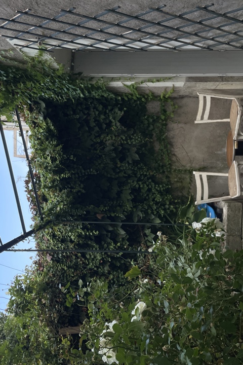 Duplex appt with private garden in the center - 17