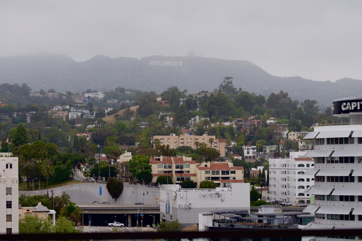 Luxury, Stylish, and  Spacious Hollywood Loft. - 2