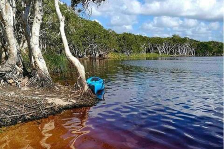 Beachside Bliss - 24