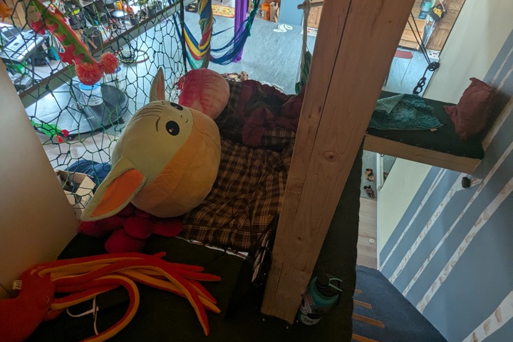 Unique, fun house in central location - 14