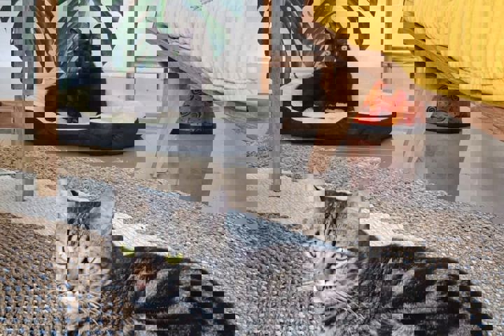 Ubud house surrounded by rice fields - 1