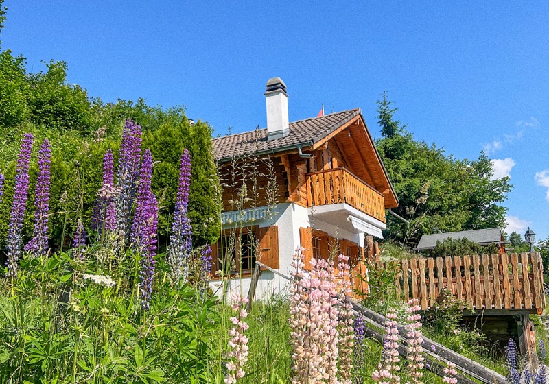 home swap in Nendaz, Switzerland