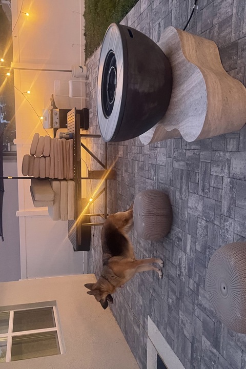 ORLANDO HOME 25MIN FROM THEME PARKS - 28