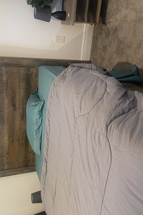 ORLANDO HOME 25MIN FROM THEME PARKS - 31