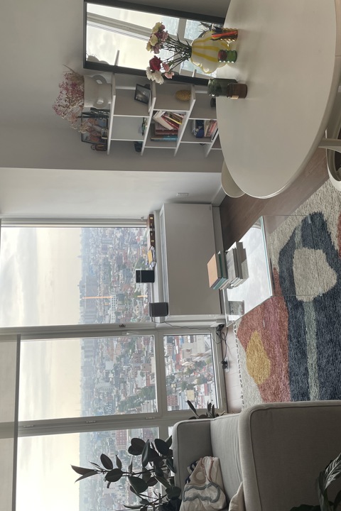 Stunning brooklyn view high floor apt - 4