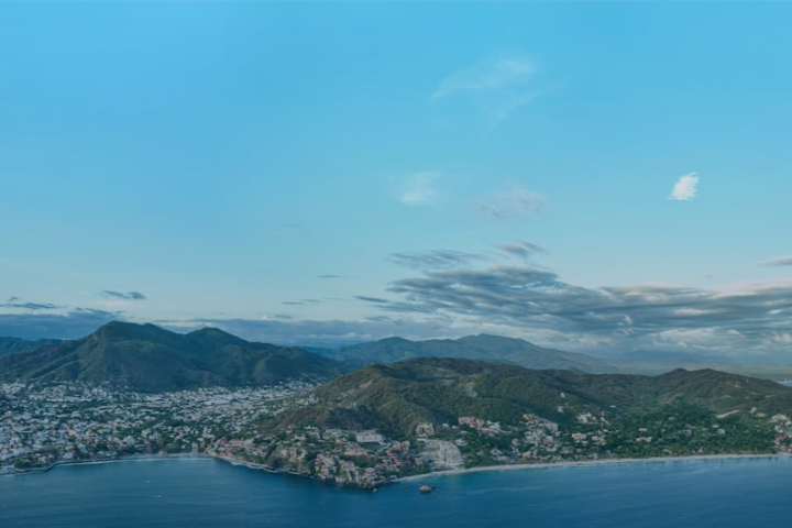 Palmeras, cocos, alberca + un ambiente tropical - 24