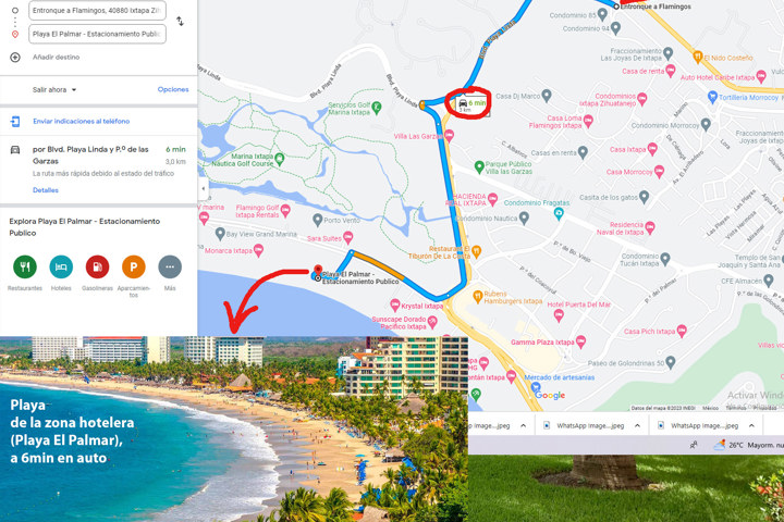 Palmeras, cocos, alberca + un ambiente tropical - 23