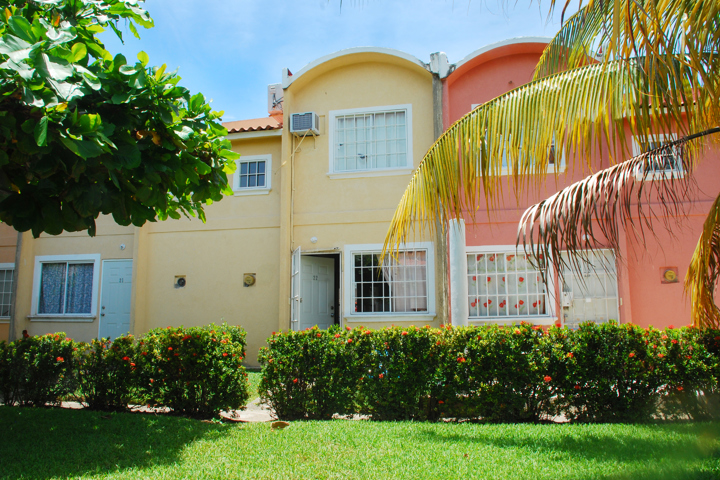 Palmeras, cocos, alberca + un ambiente tropical - 25