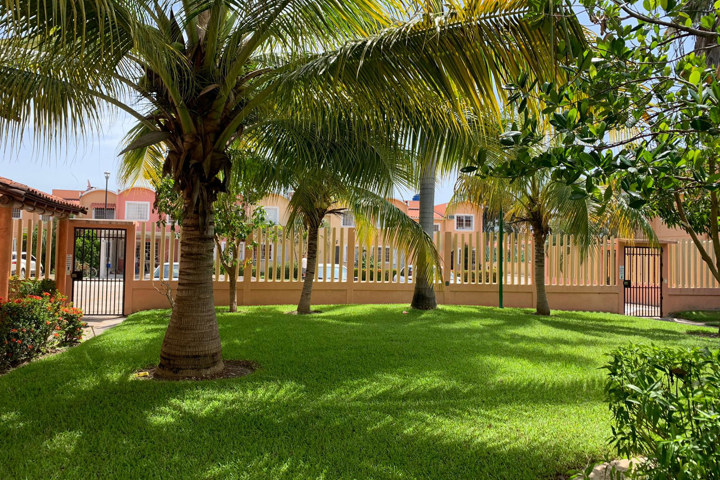 Palmeras, cocos, alberca + un ambiente tropical - 26