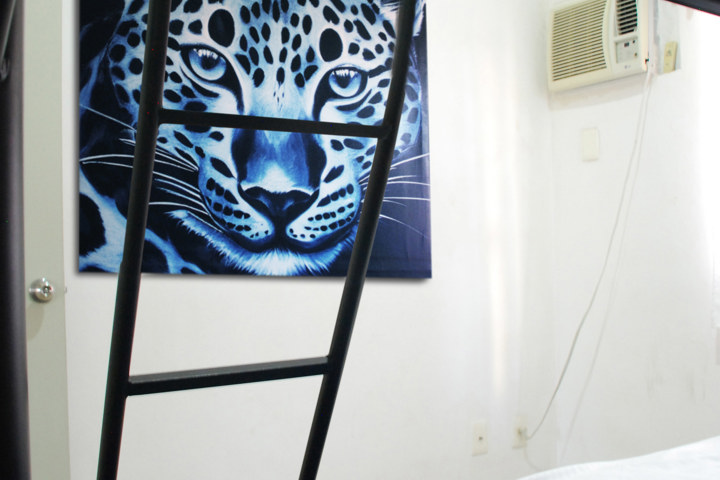 Palmeras, cocos, alberca + un ambiente tropical - 32