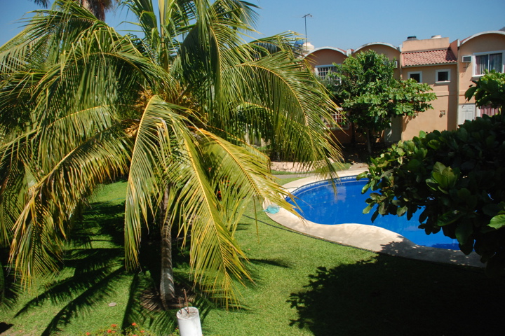 Palmeras, cocos, alberca + un ambiente tropical - 18