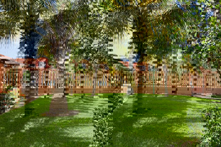 Palmeras, cocos, alberca + un ambiente tropical - 33