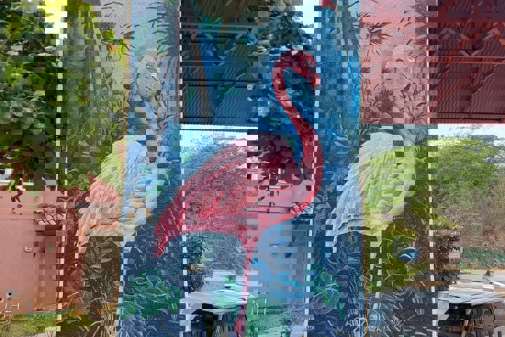 Palmeras, cocos, alberca + un ambiente tropical - 36