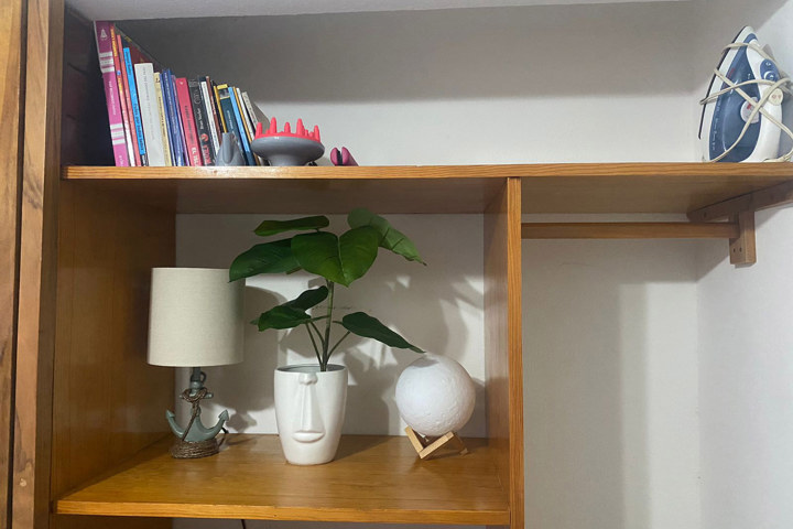 Palmeras, cocos, alberca + un ambiente tropical - 43