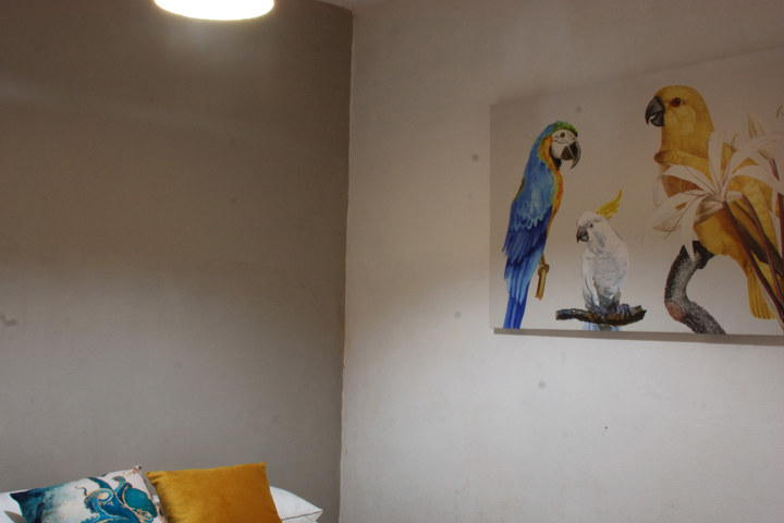 Palmeras, cocos, alberca + un ambiente tropical - 44