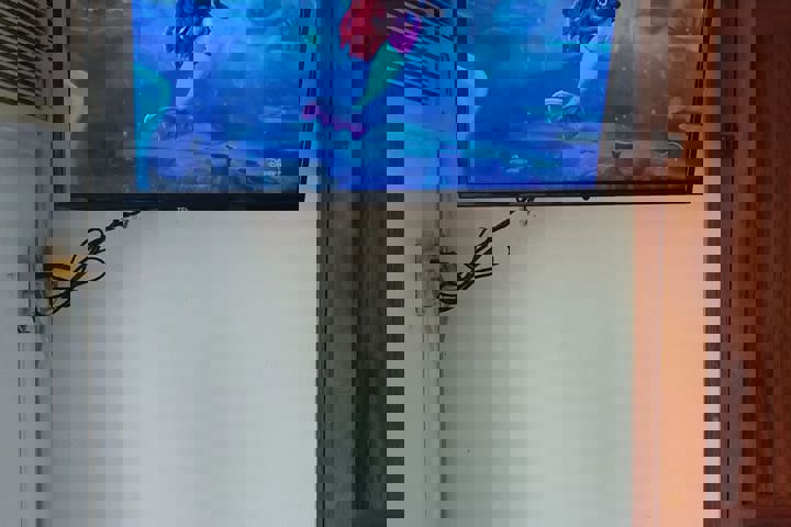 Palmeras, cocos, alberca + un ambiente tropical - 45