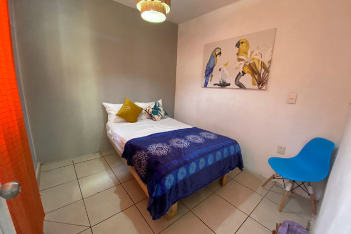 Palmeras, cocos, alberca + un ambiente tropical - 6