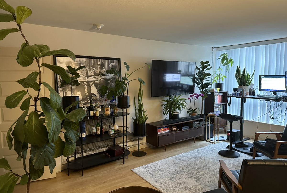 Cozy 1BR near SF landmarks in vibrant North Beach