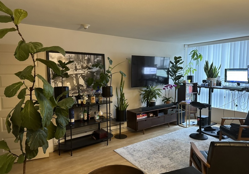home swap in San Francisco, California