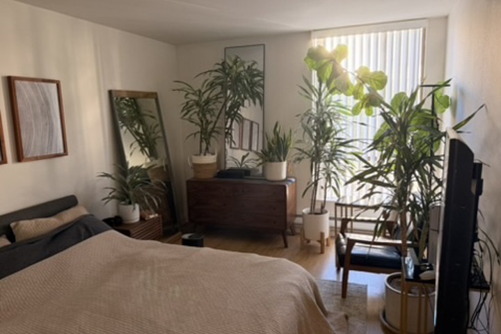 Cozy 1BR near SF landmarks in vibrant North Beach - 3