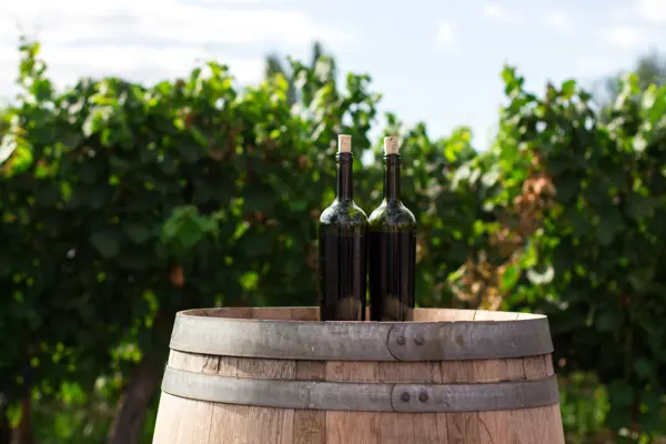 Home Swap Brno - Go Wine Tasting in the Moravian Wine Region