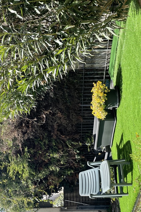 Cozy Apartment with a Large Private Garden - 1