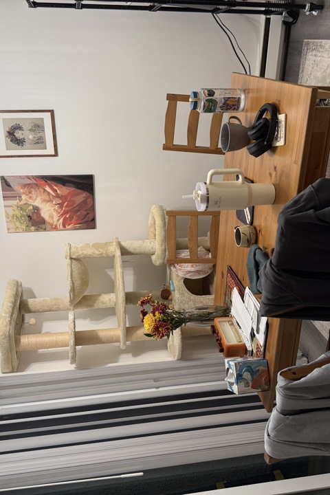 Cozy 2b1ba apartment North Seattle w/ workspace - 1