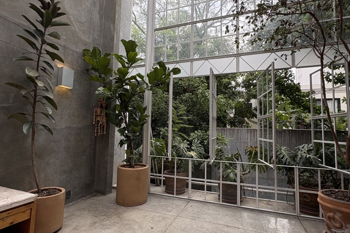 Architect-Designed Home in Condesa - 5