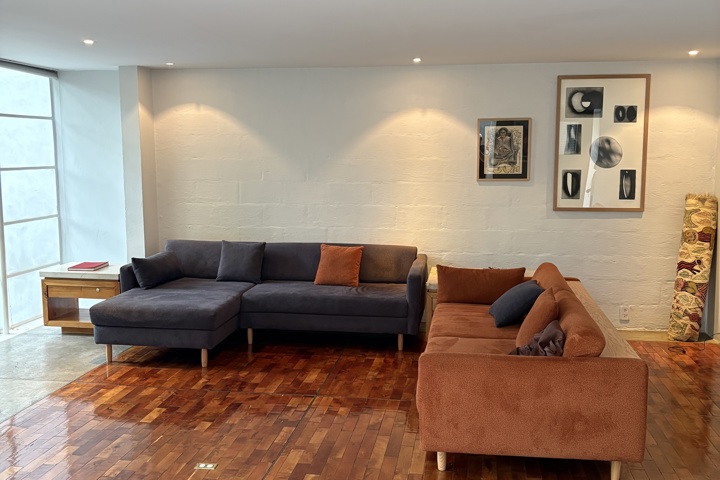 Architect-Designed Home in Condesa - 2