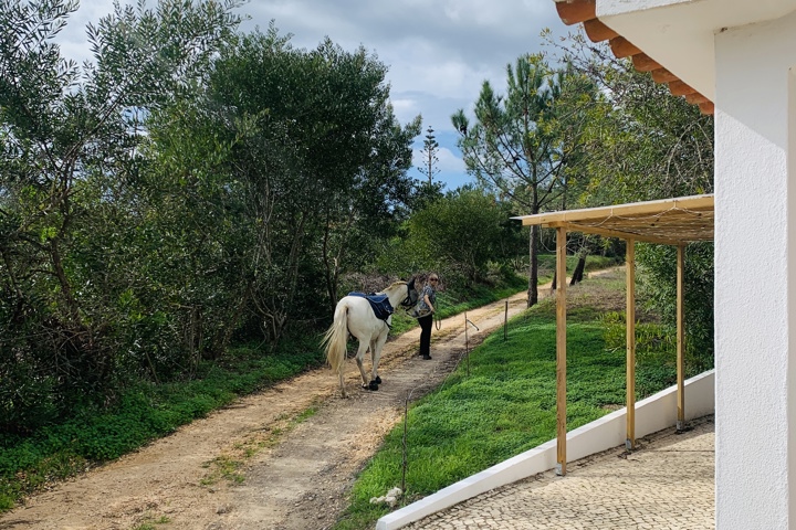 Spacious Home in Pine Forest West Coast Algarve - 3