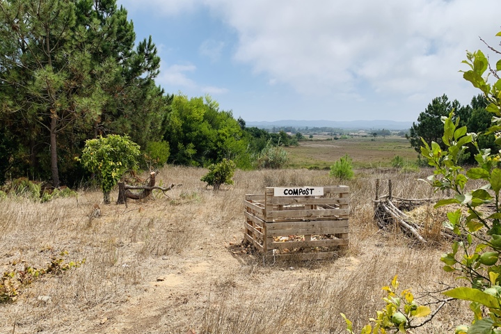 Spacious Home in Pine Forest West Coast Algarve - 9