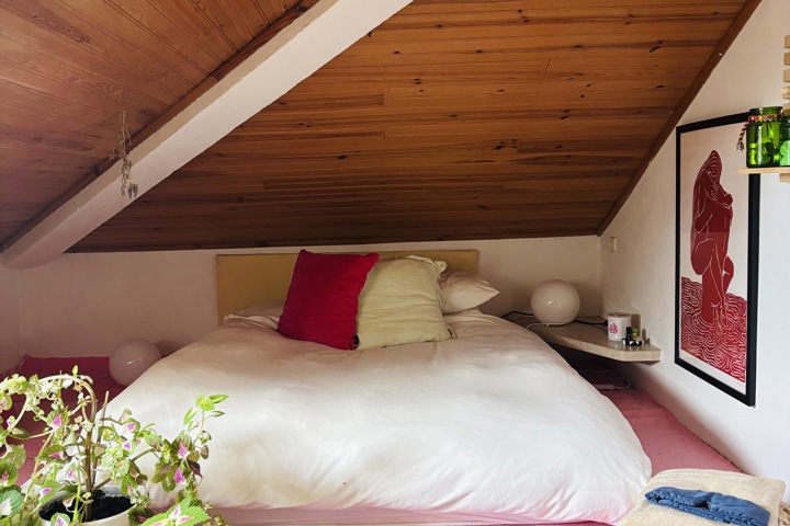 Spacious Home in Pine Forest West Coast Algarve - 17