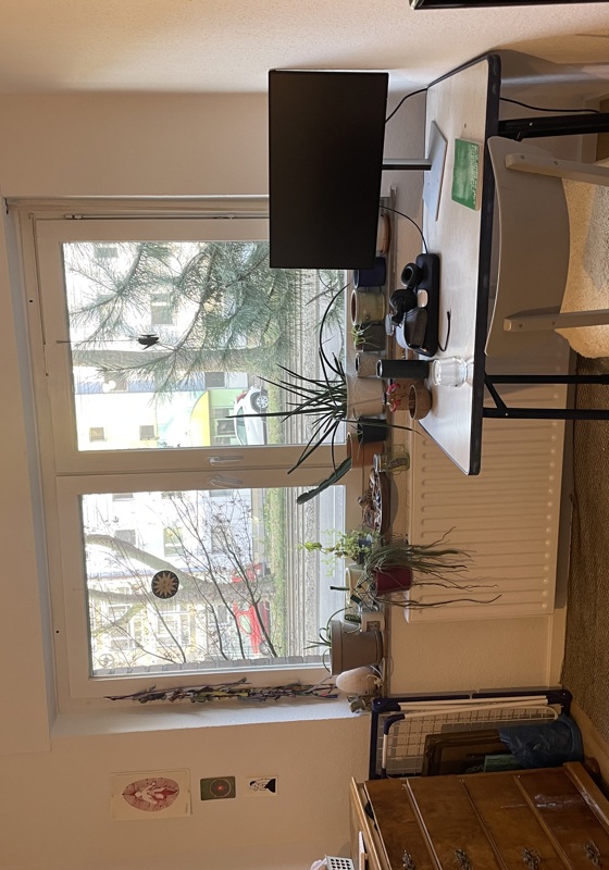 home swap in Cologne, Germany