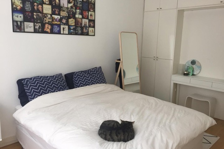 Nice groundfloor apartment in Bezuidenhout - 3